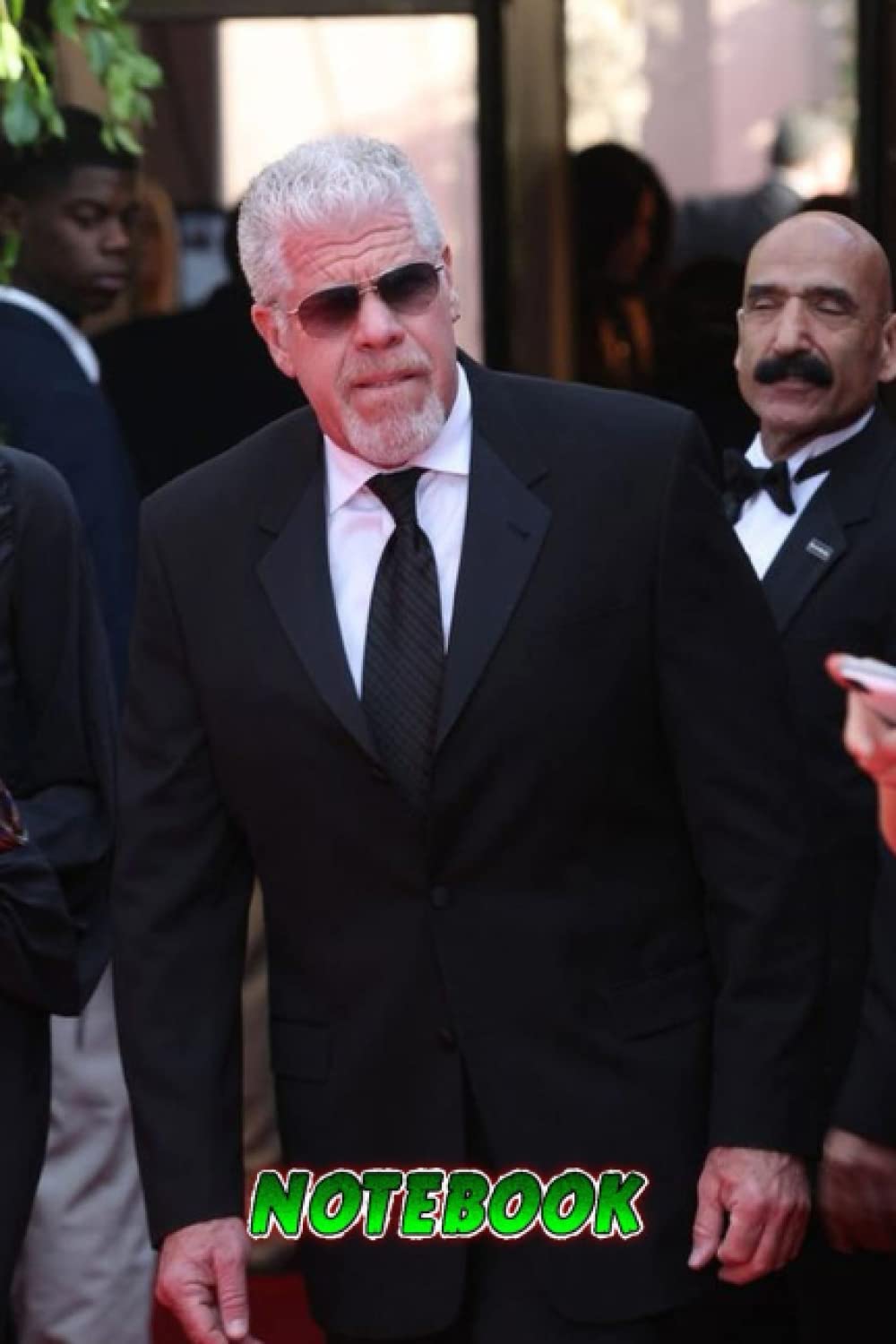 Notebook : Ron Perlman Notebook For Students, Teens, Home and Work, Thankgiving Notebook Gift Idea for Christmas Chap #313