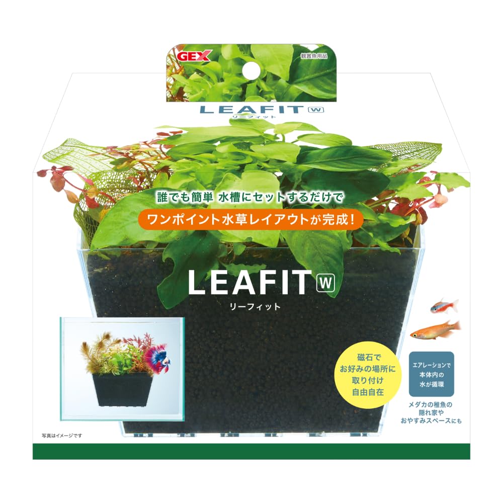 水草育成済レイアウト水槽(フィルター付き) 水草育成済レイアウト水槽(フィルター付き)