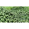 Product Photo 8