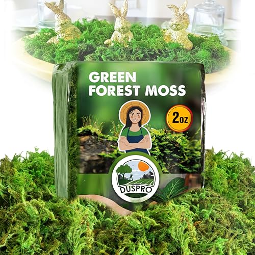 DUSPRO Green Forest Moss for Crafts, Real Dried Decorative Moss for Indoor Planter Soil Cover, Table...