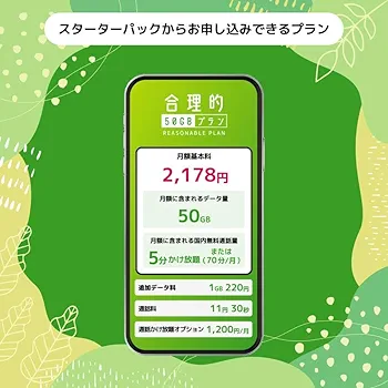 【5枚セット】日本通信SIM 合理的プラン スターターパック NT-ST-P Amazon.co.jp: 【日本通信SIM】音声対応：合理的（シンプル290