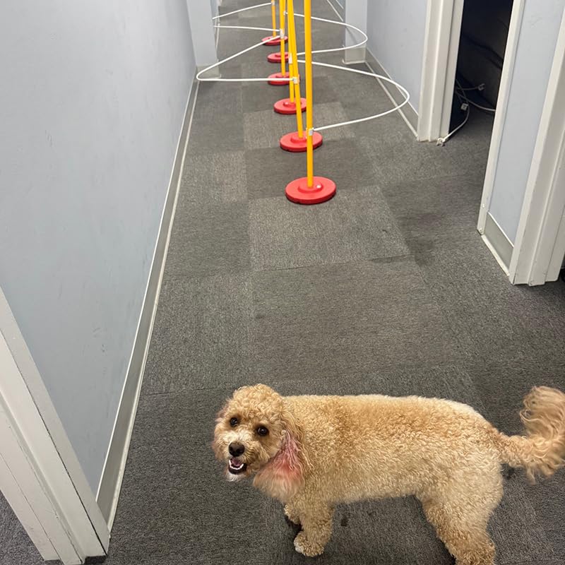 Dog Agility Weave Pole Guides – Training Aids for Fast, Accurate Weaving | Easy Snap-On PVC Guide Wires for Dog Agility Competition & Practice, 66″ Long Guides, Set of 4 - image 5
