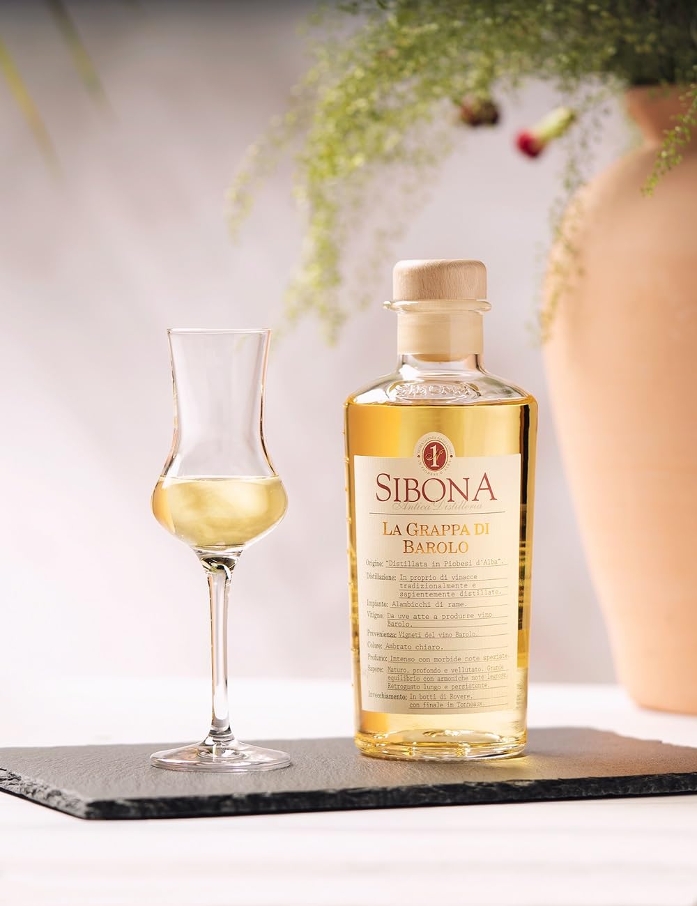 Sibona Grappa di Barolo mit 40% vol. (1 x 0,5l) – Feiner, samtiger Grappa aus Italien