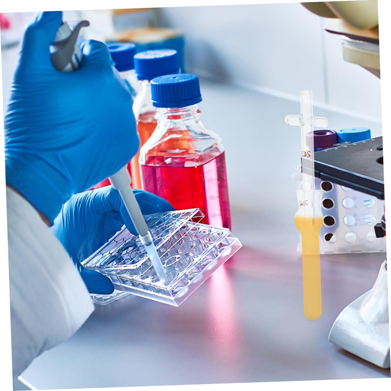 ULTECHNOVO 8piezas Homogeneizador De Vidrio Para Laboratorio Cristalería De Alta Temperatura Accesorio De Experimentos Científicos Herramienta De Molienda De Tejidos Para Investigación y