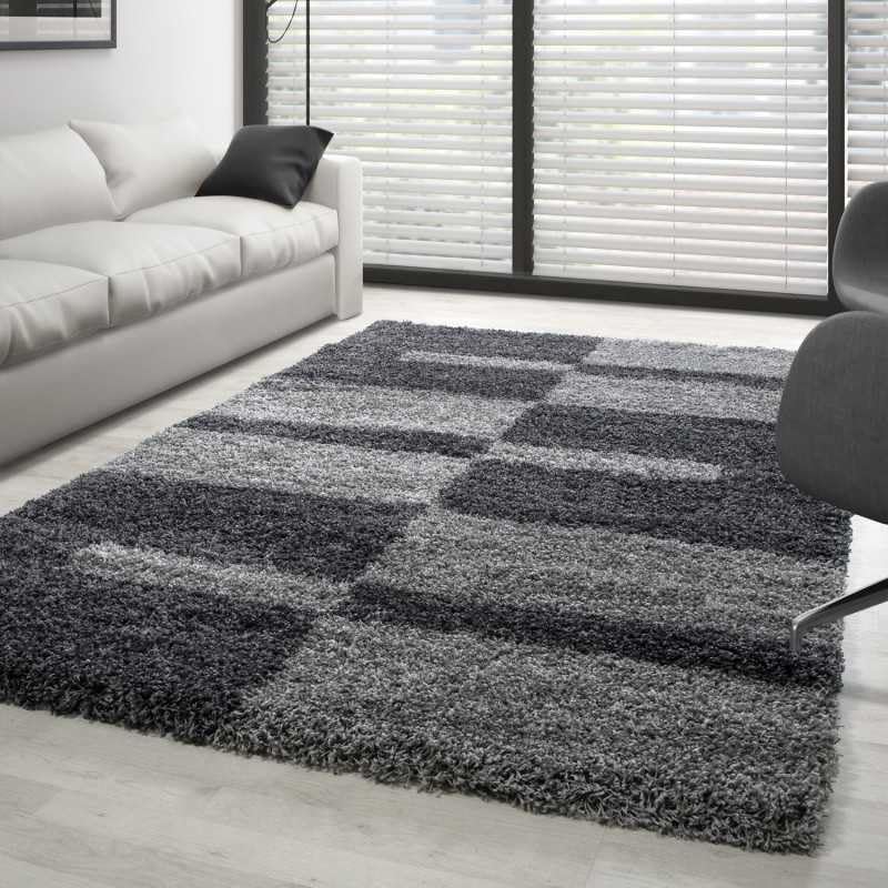 Tapis Gala Shaggy isolant et ultra doux à poils longs gris clair et beige pour grand séjour