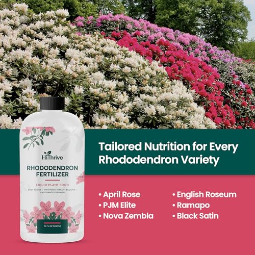 Fertilizante líquido Rhododendron 32oz para plantas miniatura 5