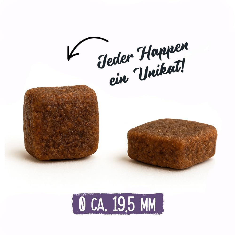 Chicopee Classic Nature Line | Soft Senior | Hundefutter halbfeucht | Mit Huhn & Reis | Weizenfrei & Soft-Krokette | Bedarfsgerechtes Life-Cycle-Konzept | Inspiriert von der Natur Kanadas | 15 kg