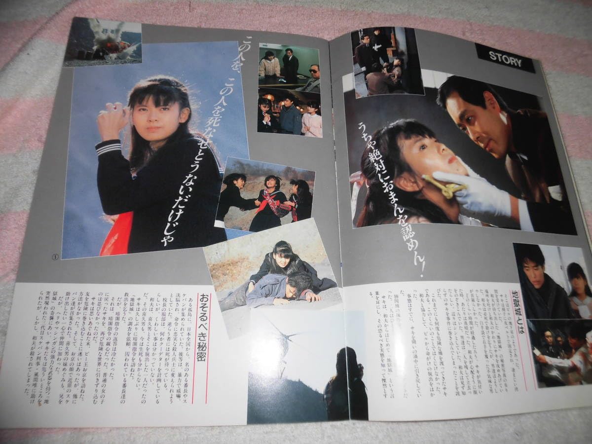 スケバン刑事 フェスティバル in つま恋 台本　パンフレット2冊 スケバン刑事 フェスティバル in つま恋 台本 パンフレット2冊