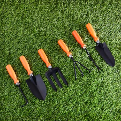 Image of Amazon Brand - Solimo 5-Piece Gardening Tool Kit | Hand Cultivator, Hand Fork, Large & Small Trowels, Weeder | Gardening Tools Set for Home Gardens | Great for Gifting