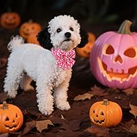 Vista 75 de Maca Bates Fall Maple Leaf Dog Collar with Sailor Bow Tie for Extra Small Girl,Boy,Autumn Foliage Puppy Collars with Bowtie Breakaway Adjustable