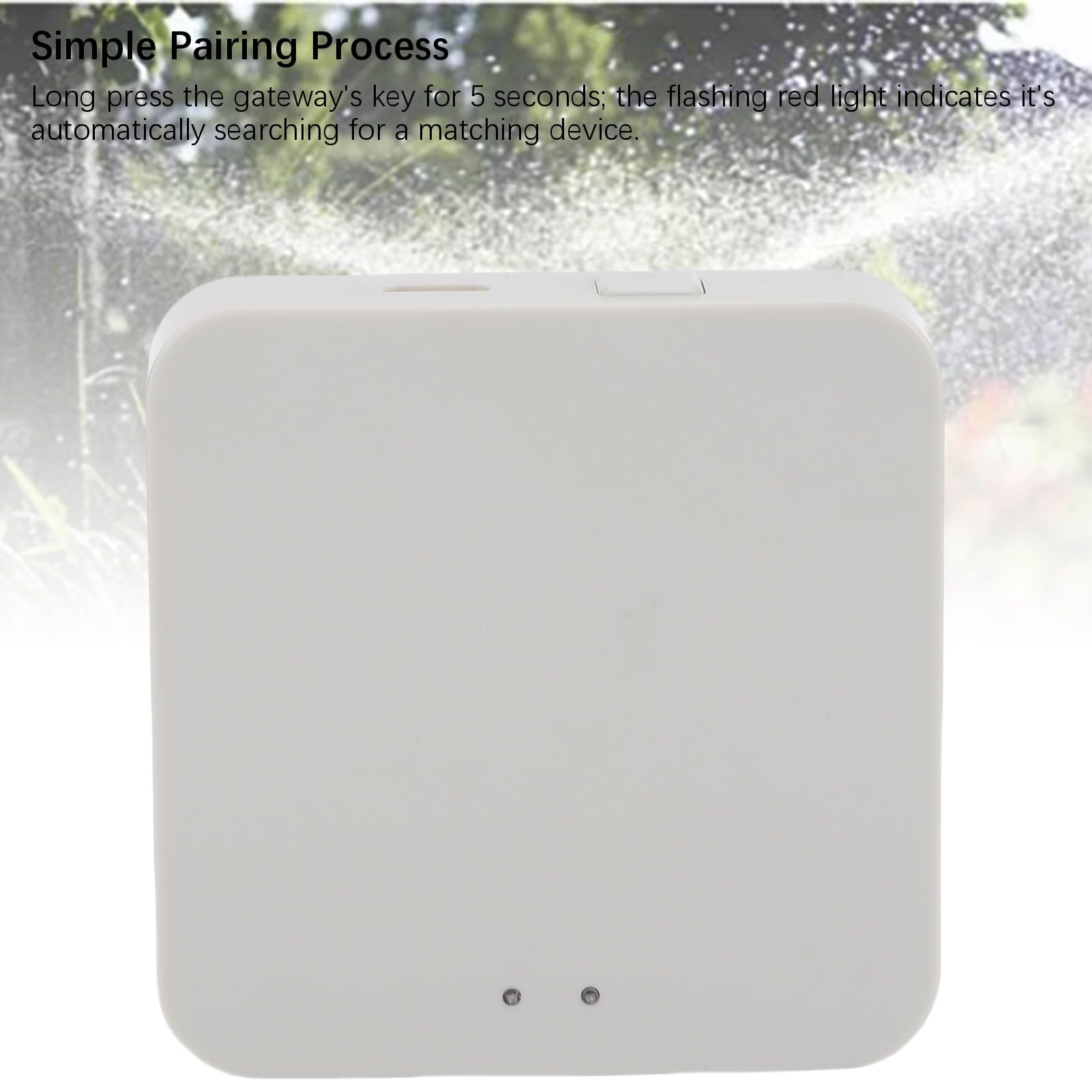 Nawadnianie Brama, 2.4G WiFi Bluetooth Hub