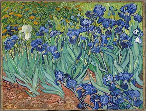 Lienzo moderno Iris de Van Gogh de 60x90cm ideal para la decoración del hogar elegante