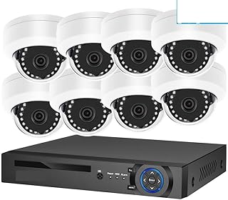 Wireless Security Camera System 8MP 4K Face Detection Security Camera System POE NVR Kit CCTV Video Record Outdoor Dome Home AI Human Surveillance Camera (Size : None, Color : 8CH NVR 8 AI Camera)