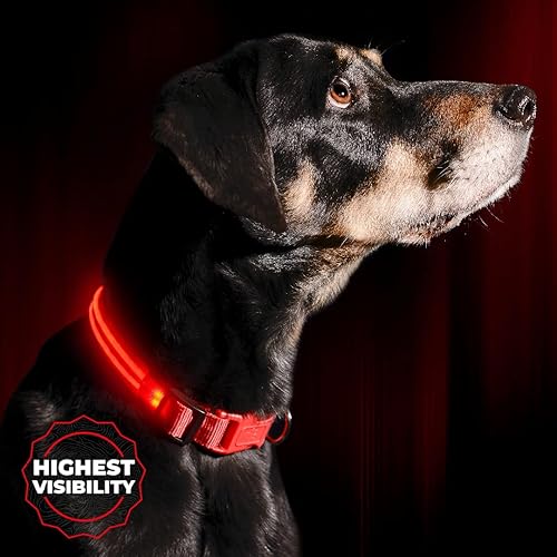 ILLUMISEEN LED Dog Collar USB Rechargeable - Bright & High Visibility Lighted Glow Collar for Pet Night Walking - Weatherproof, in 6 Colors & 6 Sizes (Red Large)