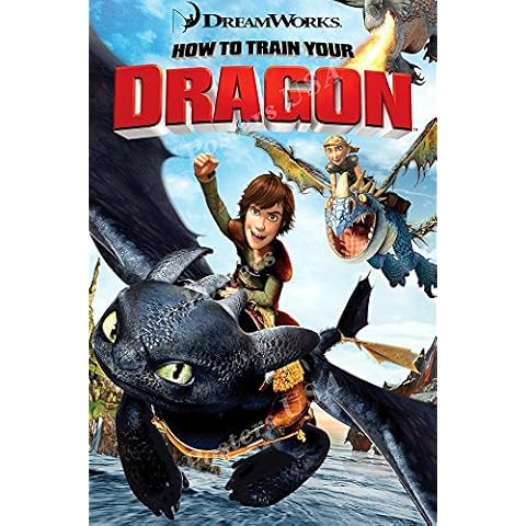 Posters USA - How to Train Your Dragon Movie Poster GLOSSY FINISH) - MOV162 (24" x 36" (61cm x 91.5cm)) Cover