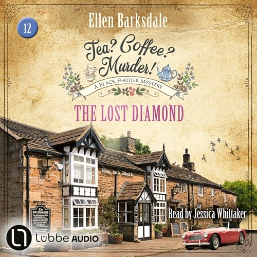 The Lost Diamond cover art