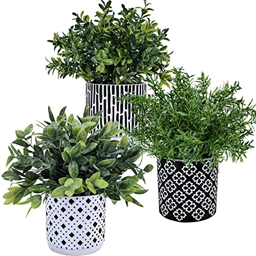 Winlyn 3-Pack Artificial Potted Plants – Faux Eucalyptus, Rosemary, Boxwood Greenery in Small Black & White Geometric Concrete Pots -Desk, Table, Shelf, Windowsill Decor for Indoor Outdoor Home Office