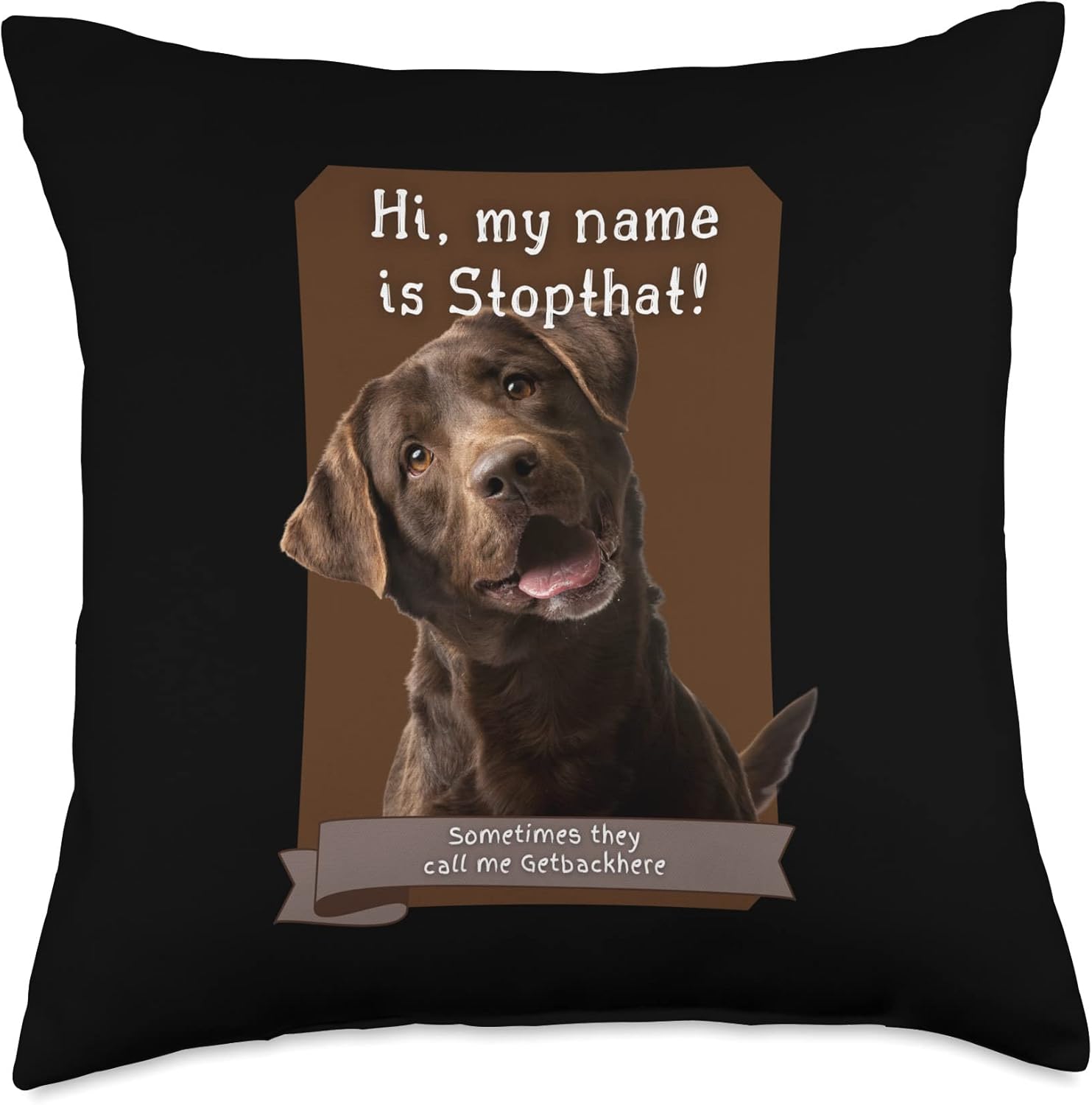 funny chocolate lab