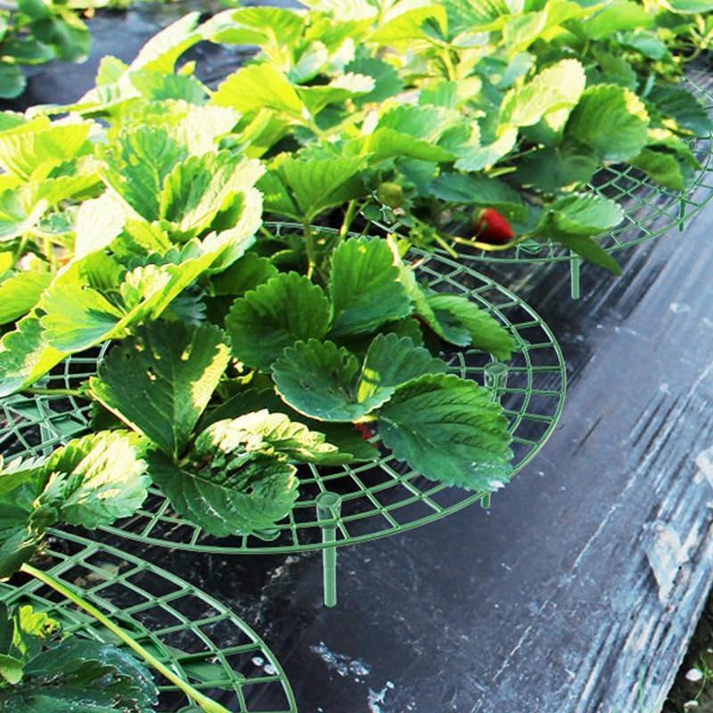 Set de herramientas para jardinería con enrejado para plantas miniatura 1