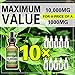Hemp Oil Extract