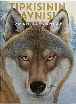 T pk s n n Ayn s