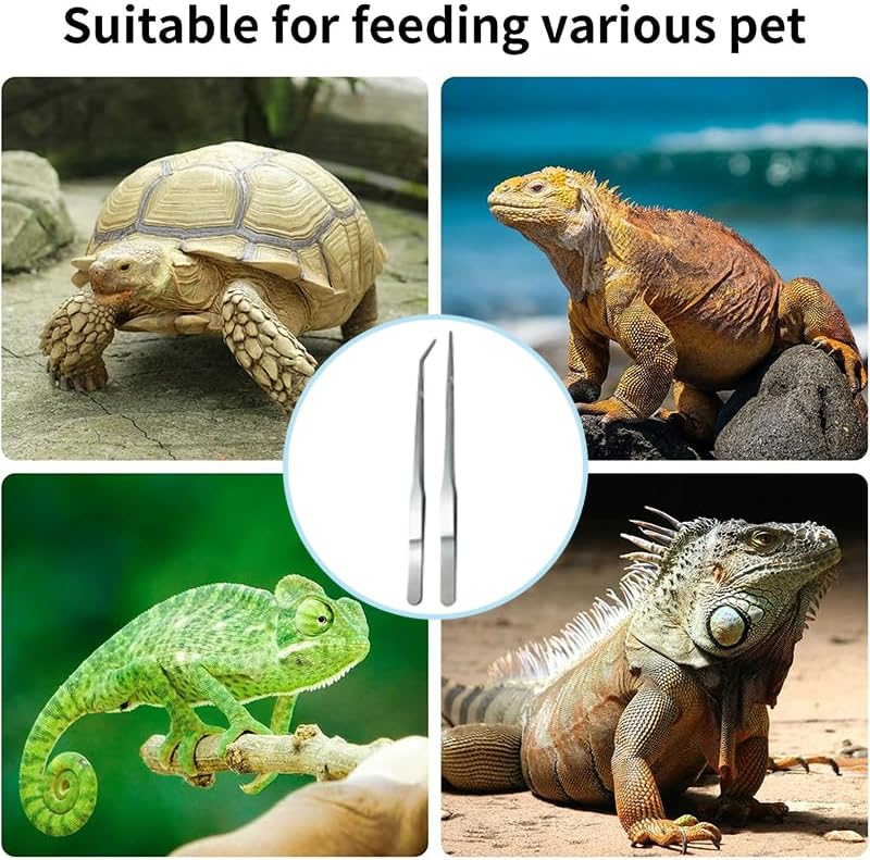 10.6" Sanded Curved Aquarium Tweezers Stainless Steel for Reptile Feeding & Aquascape Suitable for Lizard Bearded Dragon Snake Tank and Other Breeding Scenes Tools