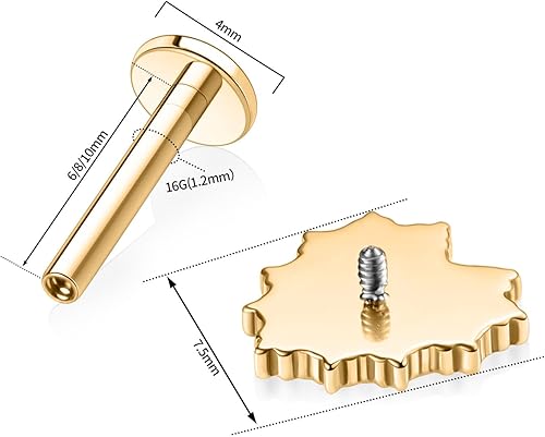 Miniatura 3 de FUNLMO Piercing para cartílago Tragus de 16G, hélice, concha, labret, Medusa, joyería de titanio con parte trasera plana, anillo de labio roscado