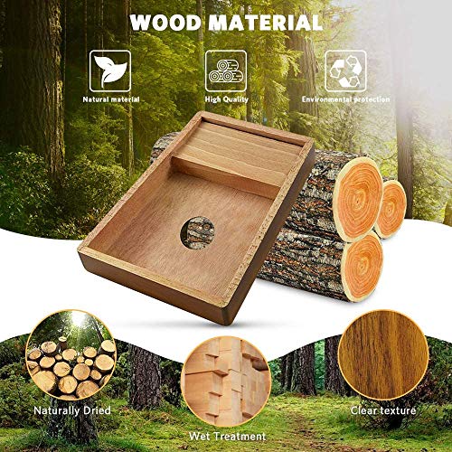 Piano pour pouce Kalimba 17 clés, piano pour enfant, en bois massif haute performance portable Mbira, livret d… - Les Beatles, Paul McCartney, John Lennon, RIngo Starr, George Harrison Piano pour pouce Kalimba 17 clés, piano pour enfant, en bois massif haute performance portable Mbira, livret d… – Image 5