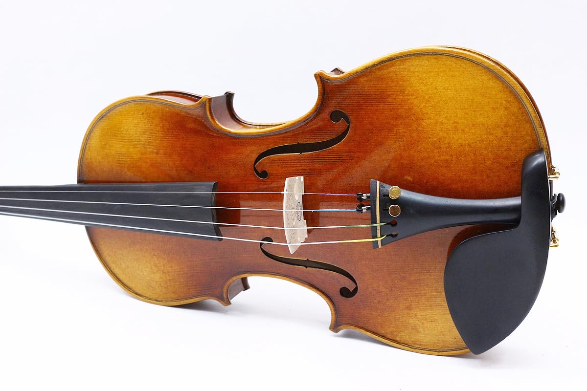 Violino professionale 4/4 full size in legno d'acero fiammato con top in abete rosso e accessori in ebano, kit violino realizzato a mano con custodia e archetto (VA-Violin-WX-E)