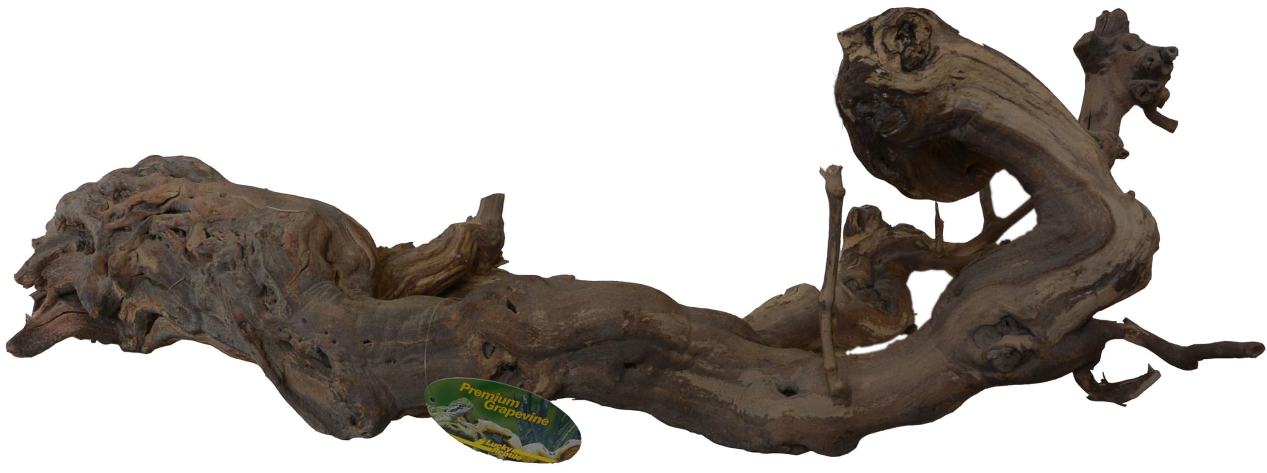 Lucky Reptile Premium Rebholz, Größe:XXL