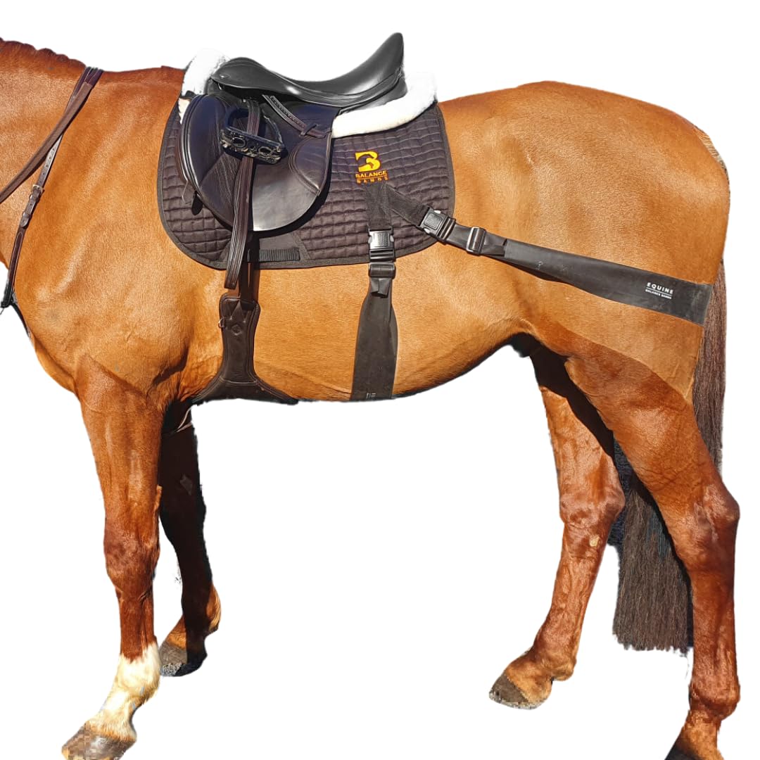 Sistema de banda equina. Ayuda de entrenamiento básico para zancadas y montar a caballo. Almohadilla multiusos y bandas de grado profesional Equine Balance Bands.
