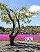 Produktbild 2020 Weekly Planner: Tree & Flowers, Fuji, Japan: Scenic Photo