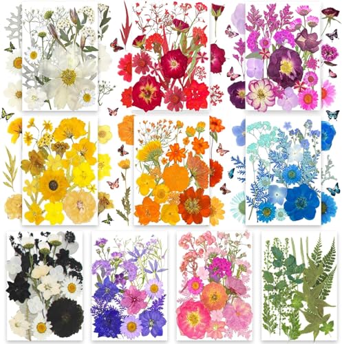 301 STK Getrocknete Pressblumen Blätter & Schmetterlingsaufkleber TrendCart Natürliche Trockenblumen für Harzmuster Nagelkunst DIY-Kunsthandwerk & Schmuckherstellung