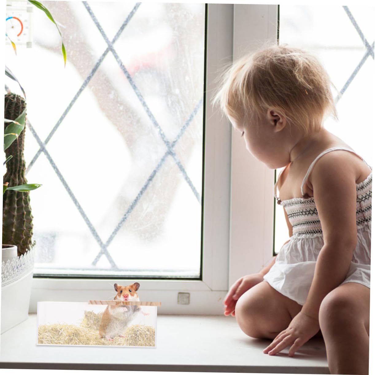 2 Stück Acryl Sandbad für Hamster und Meerschweinchen Glatte Oberfläche Sicher zum Baden und Spielen Transparent für Zuhause oder Zoohandlung