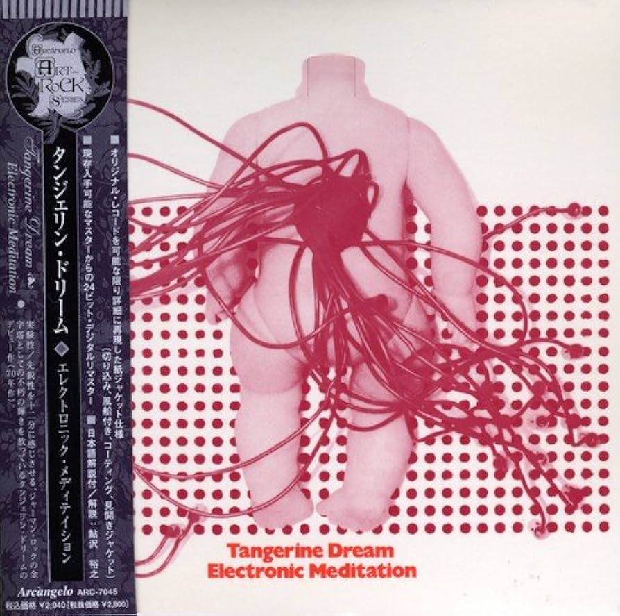 Electronic Meditation: Amazon.pl: Płyty CD i winylowe