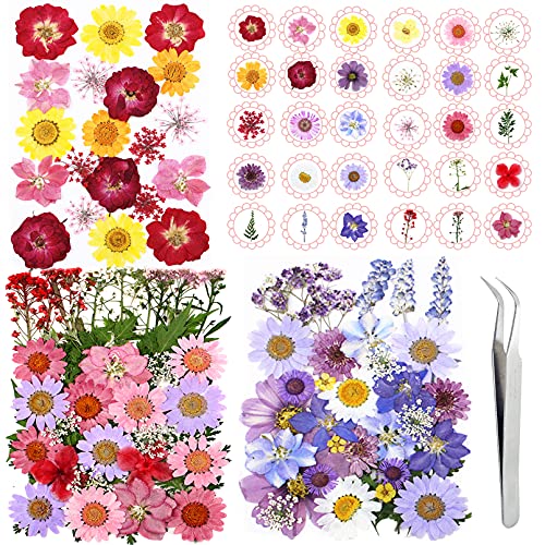 120PCS Dried Flowers for Resin, Real Pressed Flowers Dry Real Herbs Dry Leaves Kit Best Gift for Children, Girl, Boy on DIY Art Crafts, Epoxy Resin, Nail Decor, Painting, Scrapbooking.