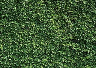 SJOLOON 7X5ft Green Leaves Backdrop Brunch Backdrop Natural Green Lawn Party Photography Backdrop