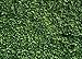 SJOLOON 7X5ft Green Leaves Backdrop Grass Backdrop Natural Green Lawn Party Photography Backdrop Birthday Newborn Baby Lover Wedding Photo Studio Props 10923