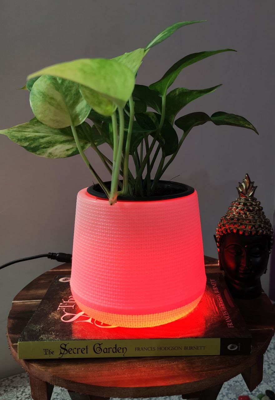 Homefrills LED Flower Pot PEAR with Red Light (Plastic Garden Pot, Indoor Planter, Flower Pot, Home Decor, Garden Decor) 5 inches LED Planter.Package Contains-1 Planter with 1 Adapter (B0BM93TSQF) Amazon Price History, Amazon Price Tracker