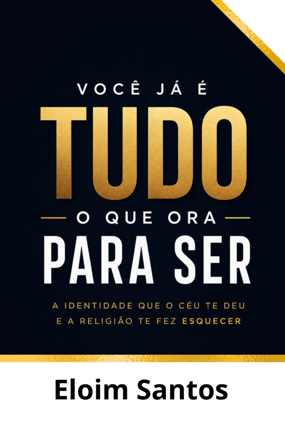 VOCÊ JÁ É TUDO O QUE ORA PARA SER: A identidade que o céu te deu e a religião te fez esquecer