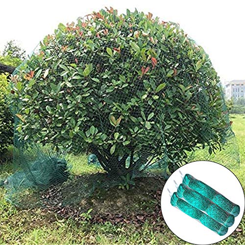 SHDT Polyethylene Anti Bird Netting for Garden Blueberries Fruit Trees Poultry Cage Pond Net Reusable,Protect Your Garden Vegetables Fruit Plants,Green,4 * 10M