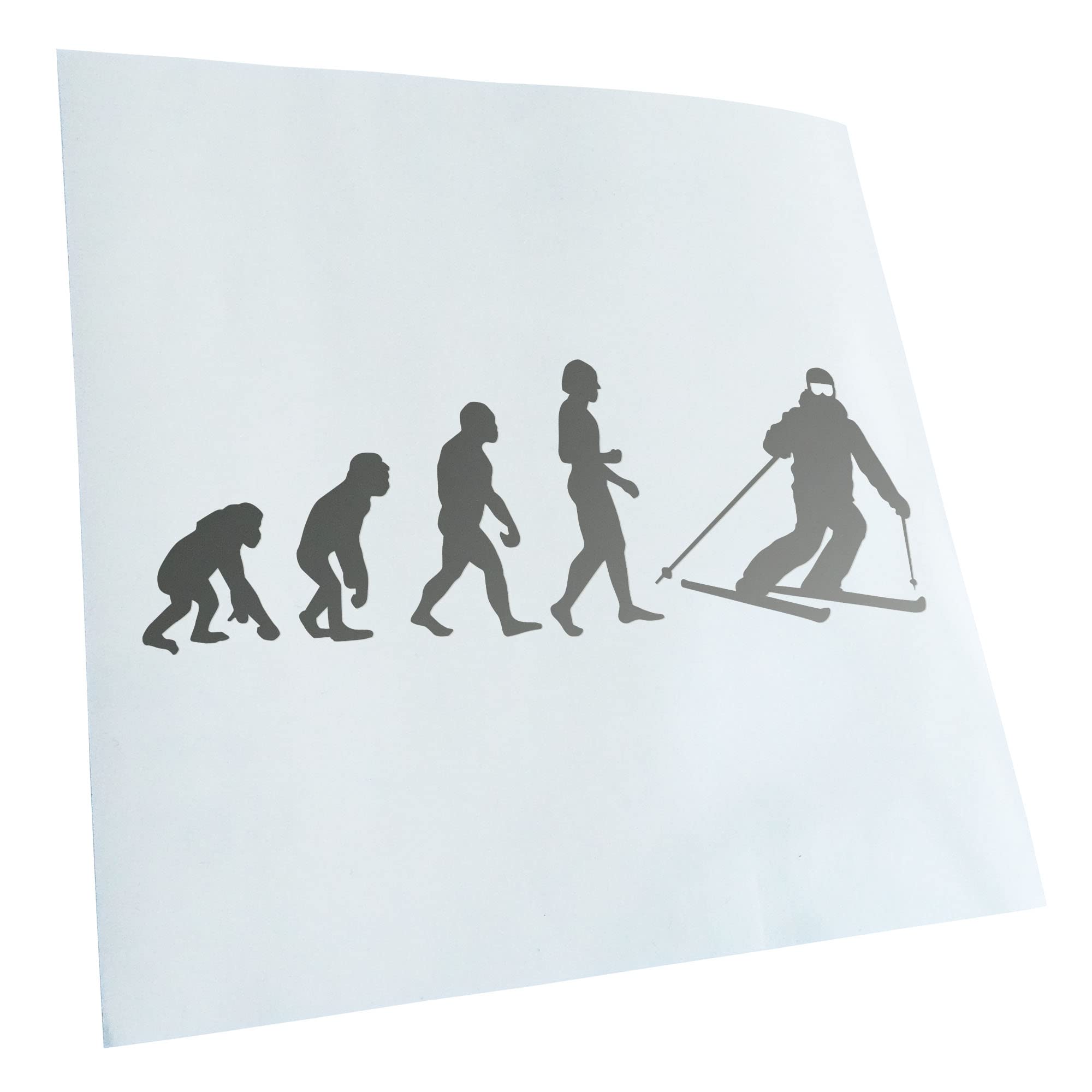 Kiwistar - Car Sticker - Silver - 60 x 21 cm Evolution Skiing - Rear Window Car Sticker Weatherproof for Car Truck Moped Truck - Sticker Exterior Self-Adhesive Tuning Accessories for Windows