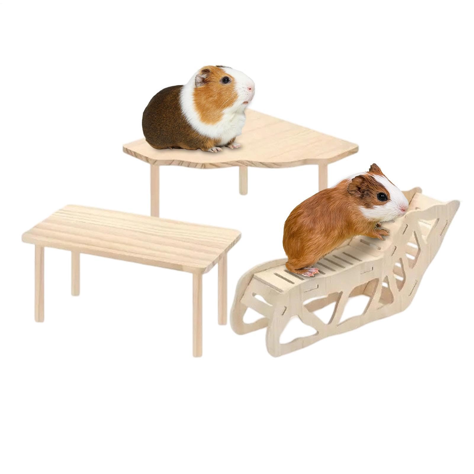 Espace de jeu pour hamster syrien anti-ennui pour aménagement de cage
