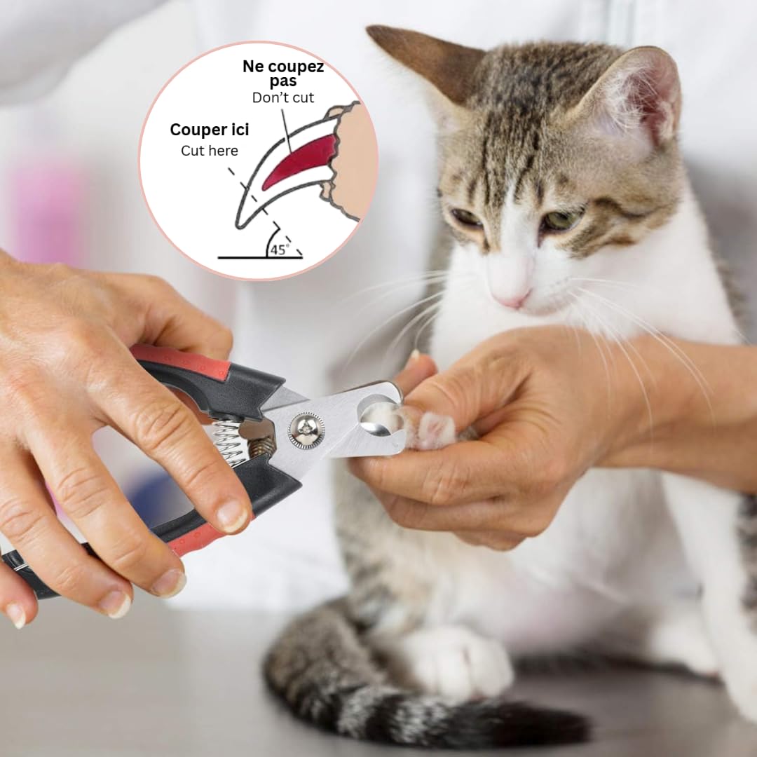 Ciseaux Professionnels pour Ongles de Chiens et Chats – Précision et Sécurité pour le Toilettage de Votre Animal (Rouge)