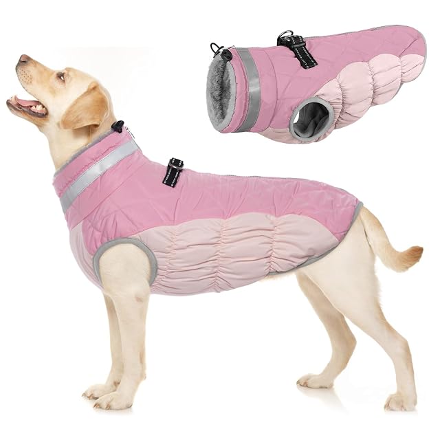 Abrigo para Perros de Invierno, Chaqueta Impermeable Perro Cálida Chaleco Traje Anti-Nieve Ropa de Invierno…