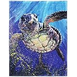 60x80 Blanket Comfort Warmth Soft Plush Throw for Couch Sea Turtle Fine Decorative Animal