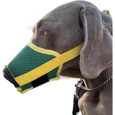 Rantow Soft Dog Muzzle Adjustable Loop Pets Muzzle Air Mesh Breathable Drinkable for Small Medium Large Dogs Dog Mouth Cover Grooming Anti Biting Barking Chewing for Long Snout (Green, M) Cover