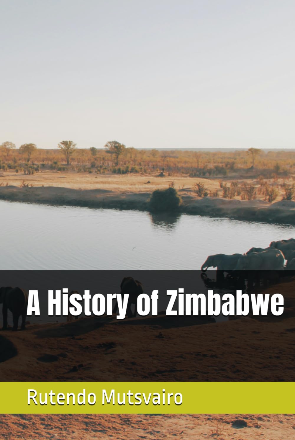 A History of Zimbabwe