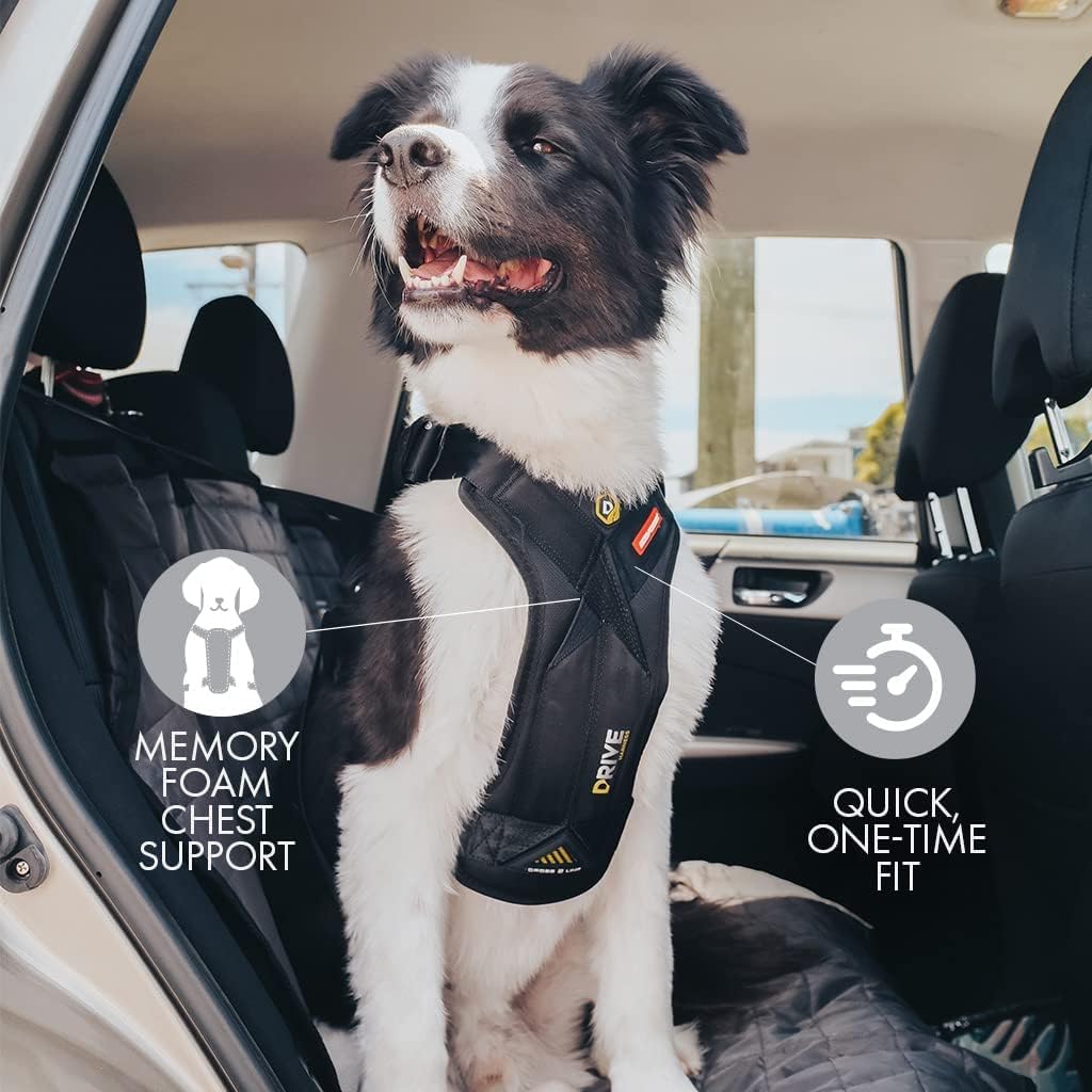 Drive Safe: Review of the EzyDog Dog Car Harness for Ultimate Pet Travel Safety