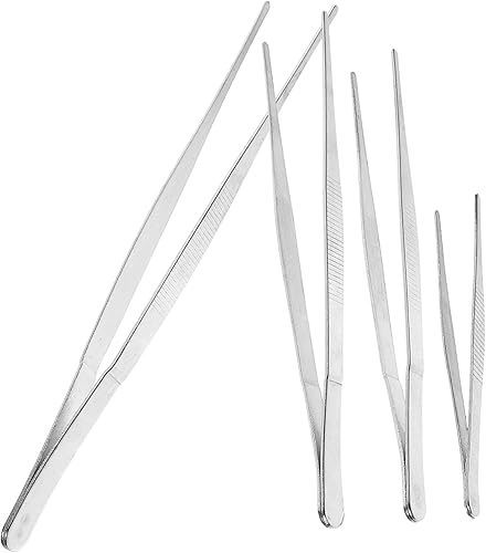 Yardenfun 4 pinzas de acero inoxidable para suculentas, suministros de jardinería